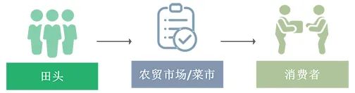 【农贸市场】蔬菜的旅途:一棵菜的流通秘密 【农贸市场】蔬菜的旅途:一棵菜的流通秘密
