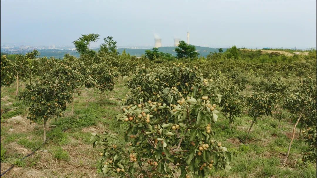 矿山环境“治违”,河南如何“控新治旧”? 矿山环境“治违”,河南如何“控新治旧”?