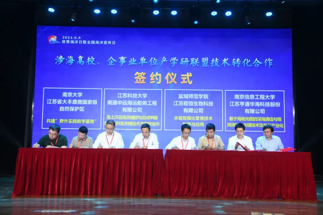 当海风吹进不靠海的南京