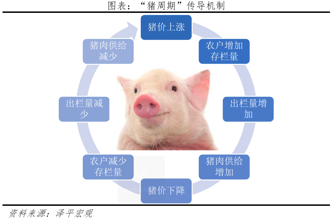 新一轮猪周期来了吗? 新一轮猪周期来了吗?