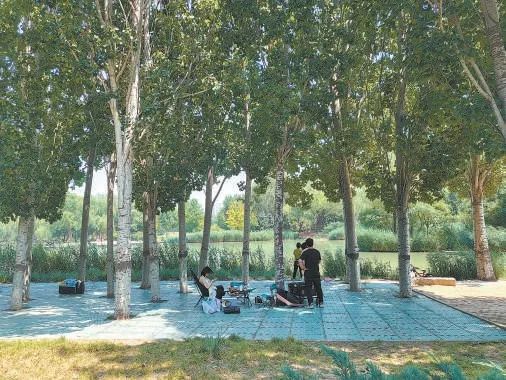 拆栏透绿!北京推进“无界公园”建设,打造绿色共享空间新体验 拆栏透绿!北京推进“无界公园”建设,打造绿色共享空间新体验
