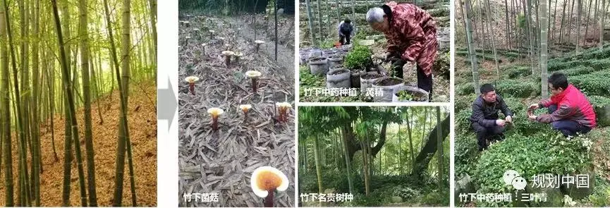 城乡格局变化对村庄建设的影响与对策