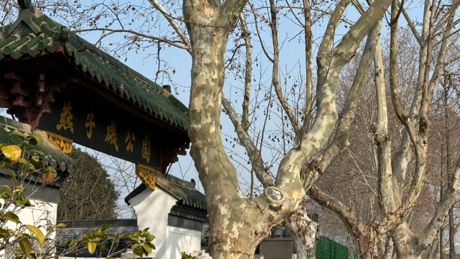 百年芳华将重现,燕子矶老镇拉开回归序幕 百年芳华将重现,燕子矶老镇拉开回归序幕