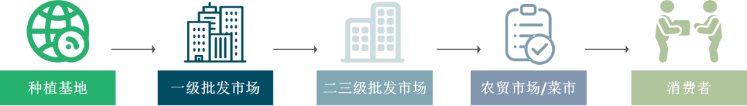 【农贸市场】蔬菜的旅途:一棵菜的流通秘密 【农贸市场】蔬菜的旅途:一棵菜的流通秘密