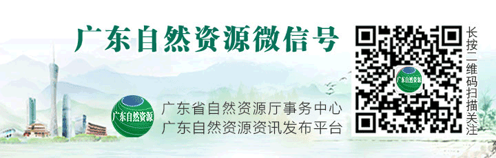 重磅!广东省印发《广东省耕地保护专项规划(2021-2035年)》 重磅!广东省印发《广东省耕地保护专项规划(2021-2035年)》