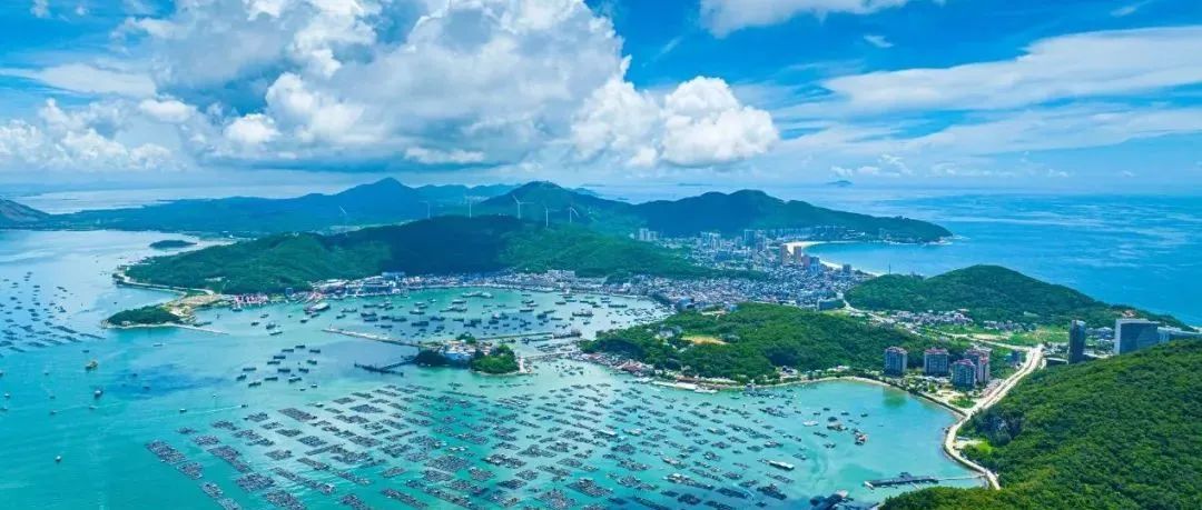 “海岸卫士”红树林保护修复的广州路径|世界海洋日 “海岸卫士”红树林保护修复的广州路径|世界海洋日