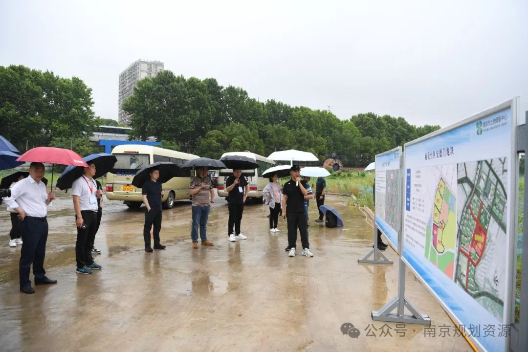展现山水城林宜居价值 南京创新土地招商合作模式
