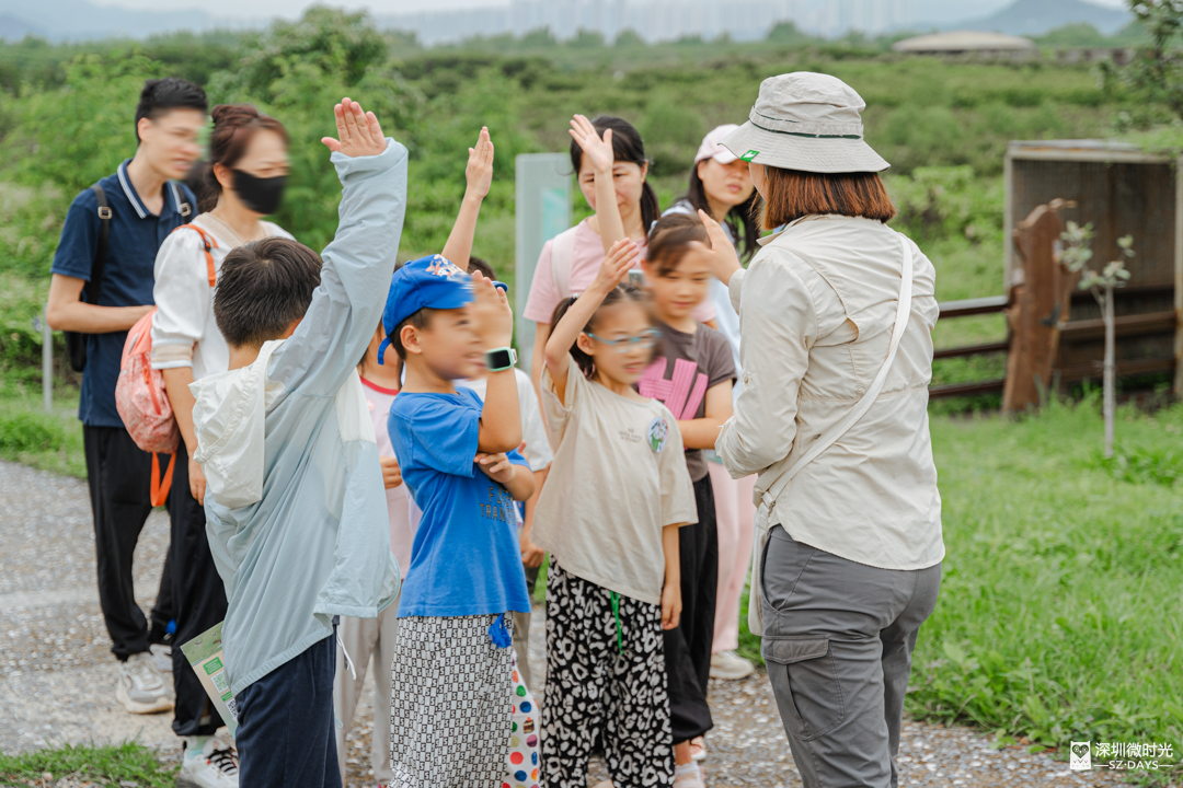 深圳最“难进”公园，每月限20人，很荒很野