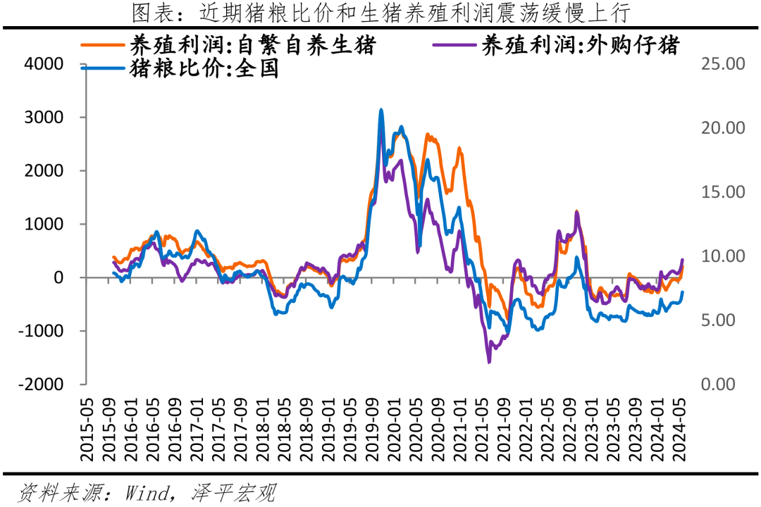 新一轮猪周期来了吗? 新一轮猪周期来了吗?