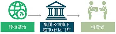 【农贸市场】蔬菜的旅途:一棵菜的流通秘密 【农贸市场】蔬菜的旅途:一棵菜的流通秘密
