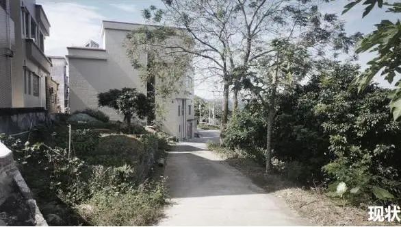 百千万工程④|山水禅意径、诗画古村带——六祖故里打造乡村振兴示范带的实践 百千万工程④|山水禅意径、诗画古村带——六祖故里打造乡村振兴示范带的实践