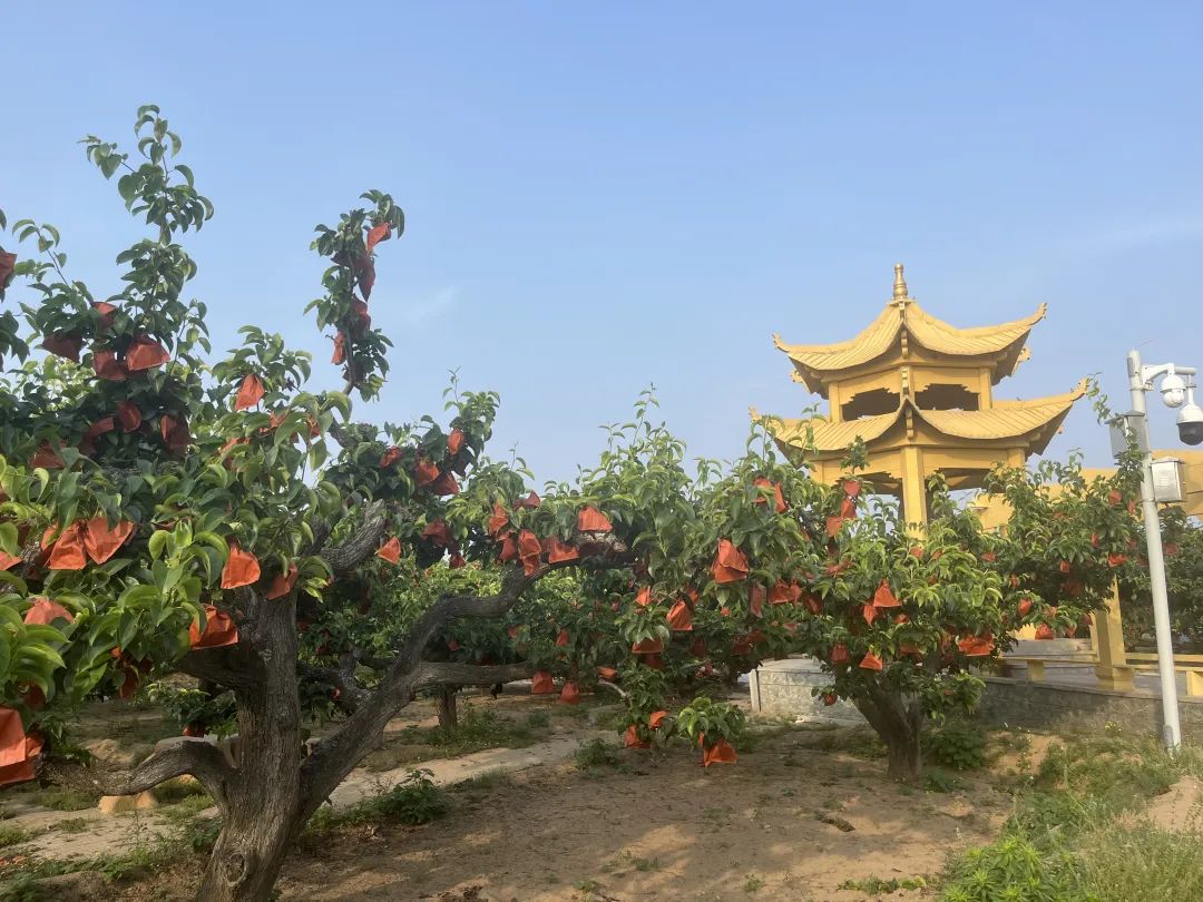 一座水城，缘何与黄沙难解难分？