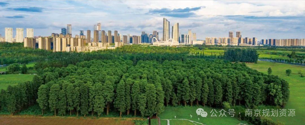 把田园风光“搬”到城市，看建邺的AB面