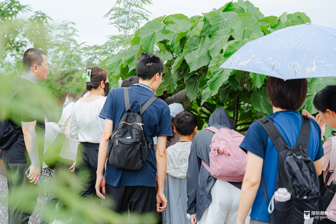 深圳最“难进”公园，每月限20人，很荒很野
