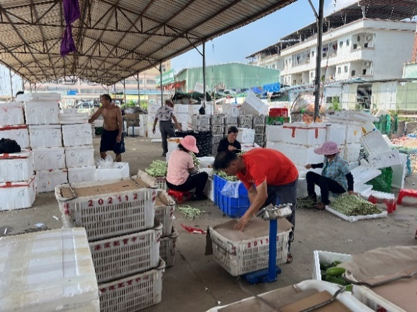 【农贸市场】蔬菜的旅途:一棵菜的流通秘密 【农贸市场】蔬菜的旅途:一棵菜的流通秘密