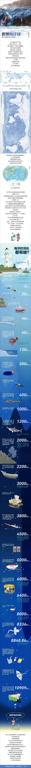 世界海洋日 | 潜入海洋你会看到......