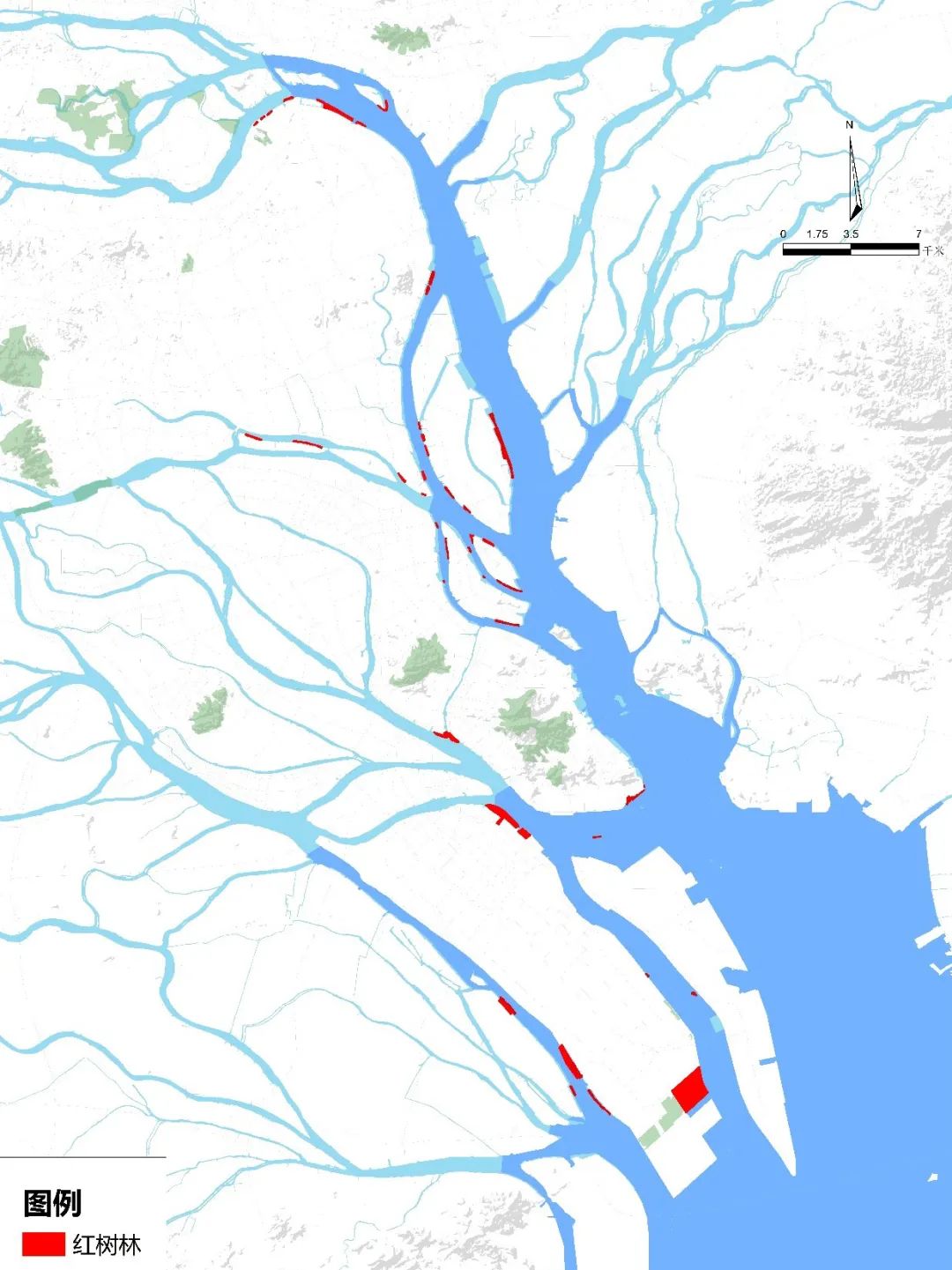 “海岸卫士”红树林保护修复的广州路径|世界海洋日 “海岸卫士”红树林保护修复的广州路径|世界海洋日