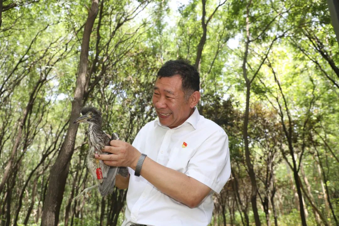 一草一木赤子心——记山东省聊城市茌平区国有广平林场党支部书记、场长王吉贵
