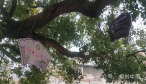 城乡格局变化对村庄建设的影响与对策