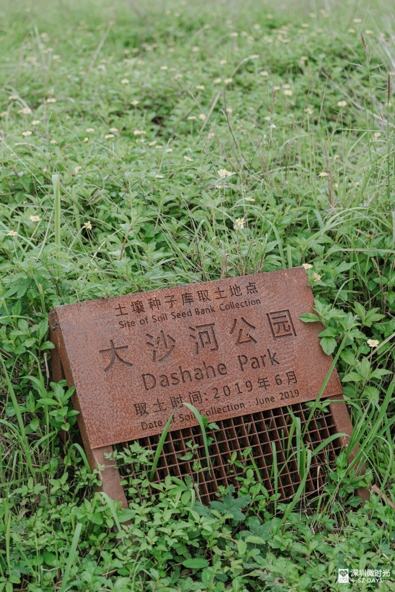 深圳最“难进”公园，每月限20人，很荒很野