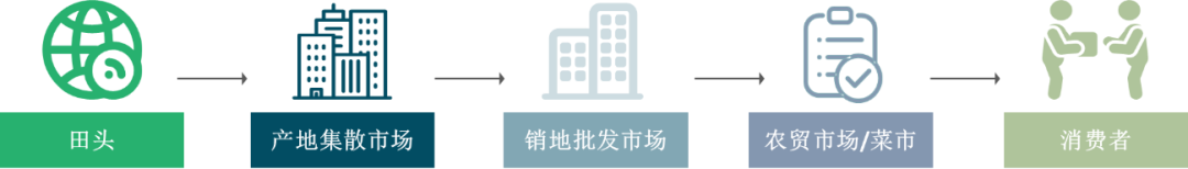 【农贸市场】蔬菜的旅途:一棵菜的流通秘密 【农贸市场】蔬菜的旅途:一棵菜的流通秘密