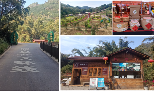 文旅立村，实用性村庄规划助力云南古寨筑好振兴之路