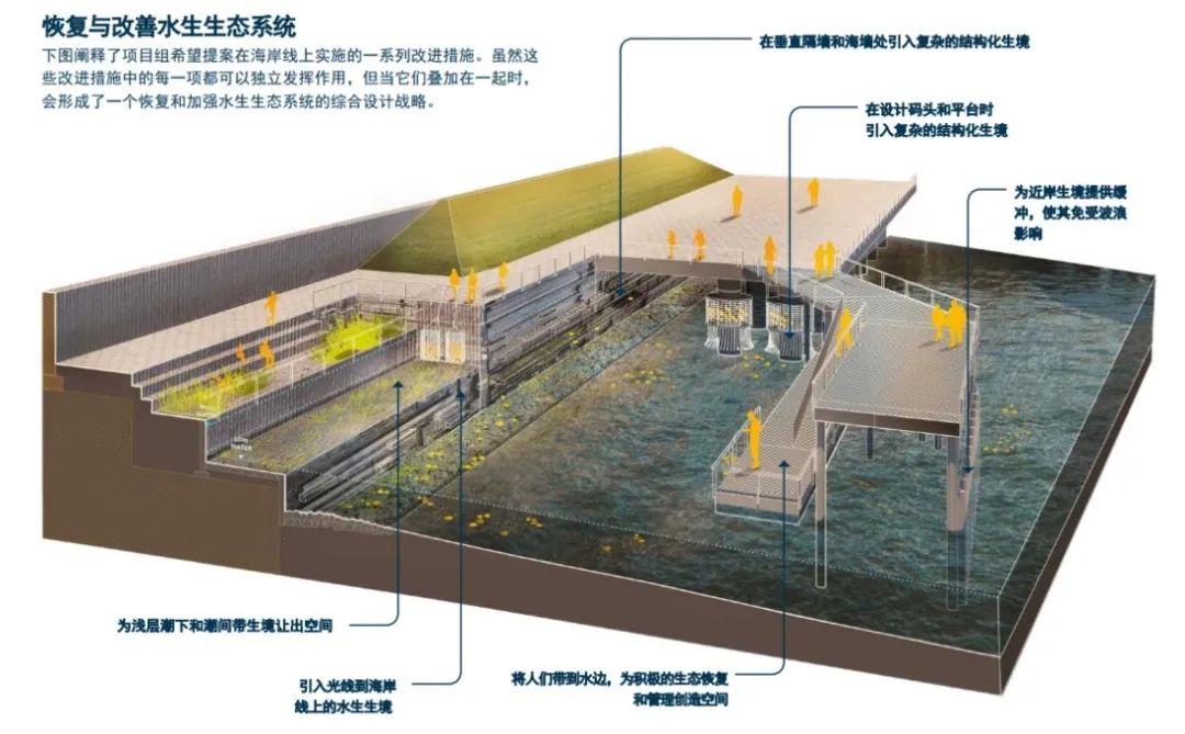 湾区观察③|BIG U 从蓝图到落地,重塑纽约曼哈顿下城韧性海岸 湾区观察③|BIG U 从蓝图到落地,重塑纽约曼哈顿下城韧性海岸