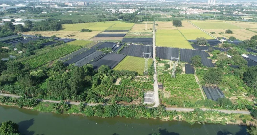 土地综合整治10|增城区增江东岸(石滩镇)全域土地综合整治试点建设实践探索 土地综合整治10|增城区增江东岸(石滩镇)全域土地综合整治试点建设实践探索