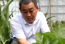 以身铸犁耕沃土——记山东省东营市东营区牛庄镇西庞村村委会主任、田长庞增华-规划问道