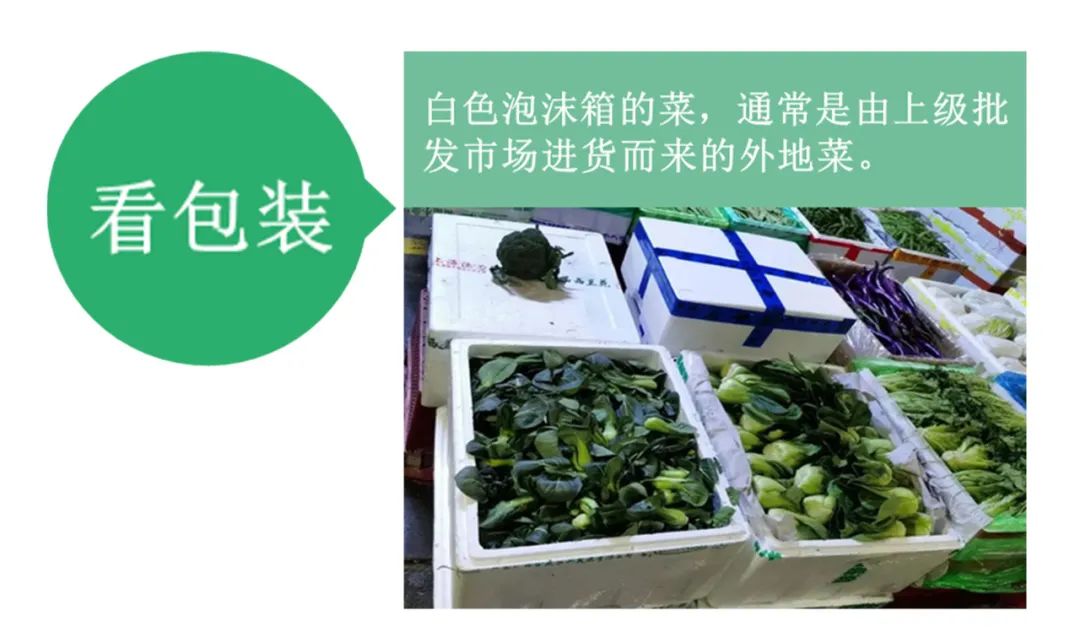 【农贸市场】蔬菜的旅途:一棵菜的流通秘密 【农贸市场】蔬菜的旅途:一棵菜的流通秘密
