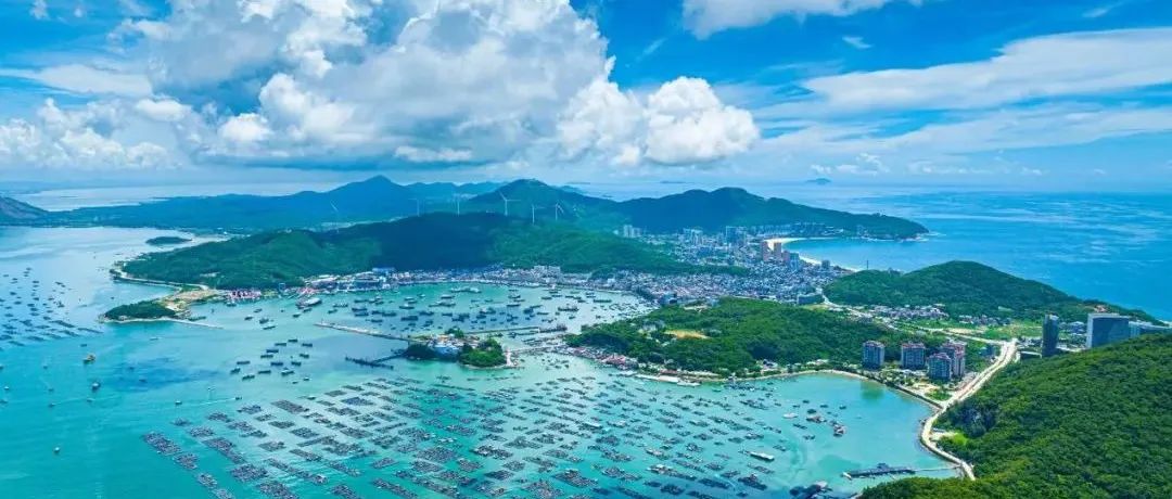 展望2035,广州如何向海而兴?广州市建设海洋创新发展之都规划研讨会成功召开 展望2035,广州如何向海而兴?广州市建设海洋创新发展之都规划研讨会成功召开
