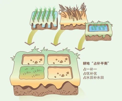 “永农”被占后应如何补划?何为占用耕地补偿制度?| 土地管理法律法规知识解读③ “永农”被占后应如何补划?何为占用耕地补偿制度?| 土地管理法律法规知识解读③
