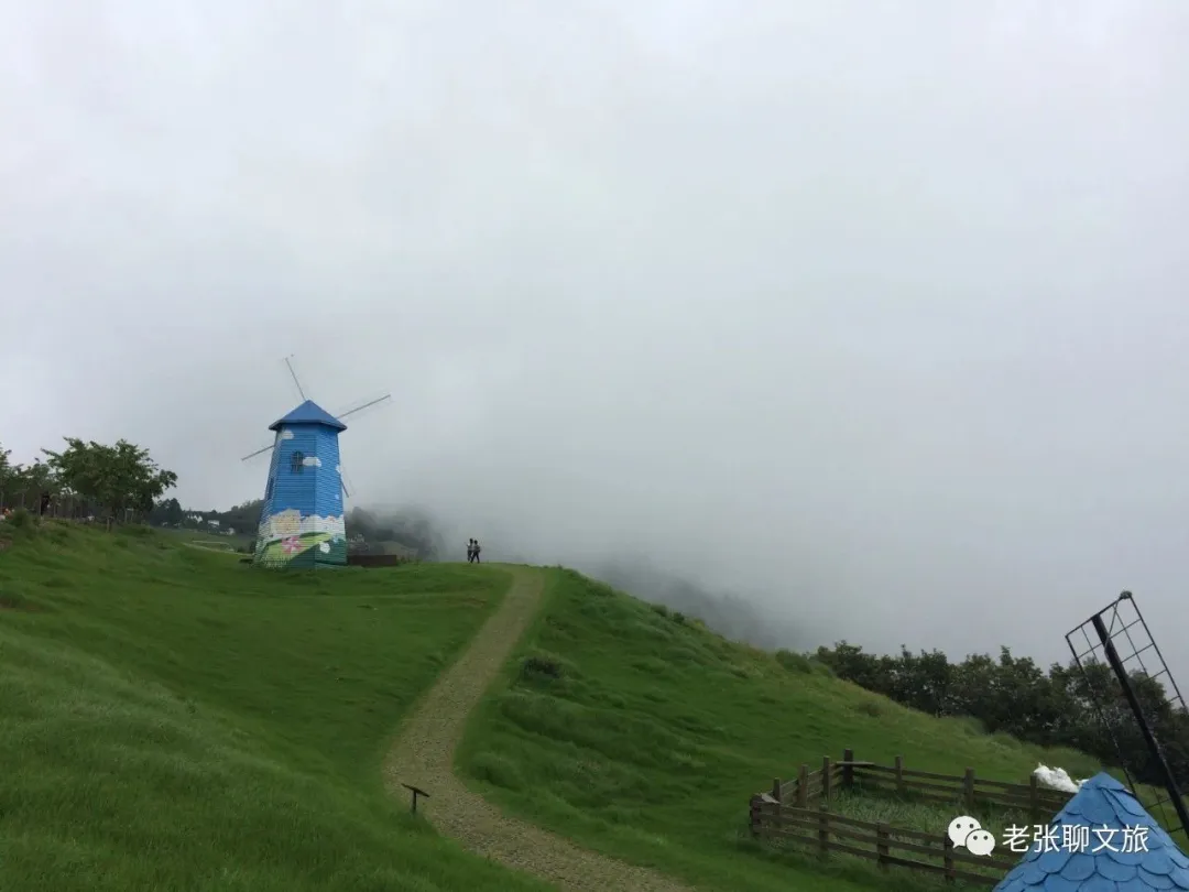 乡村振兴的底层逻辑与案例实践思考