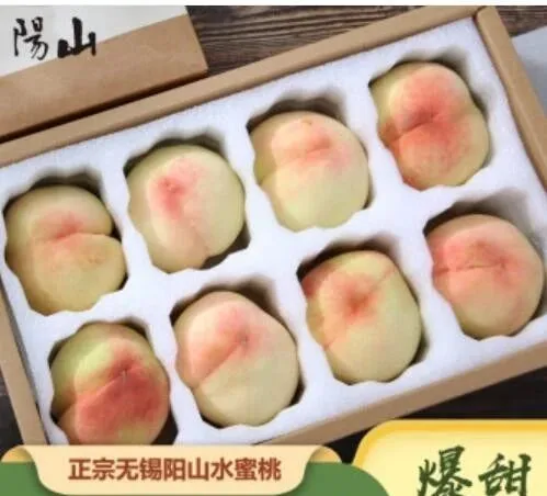 乡村振兴的底层逻辑与案例实践思考