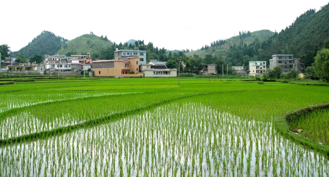 国新办:宅基地退出要稳慎,要给农民留后路! 国新办:宅基地退出要稳慎,要给农民留后路!