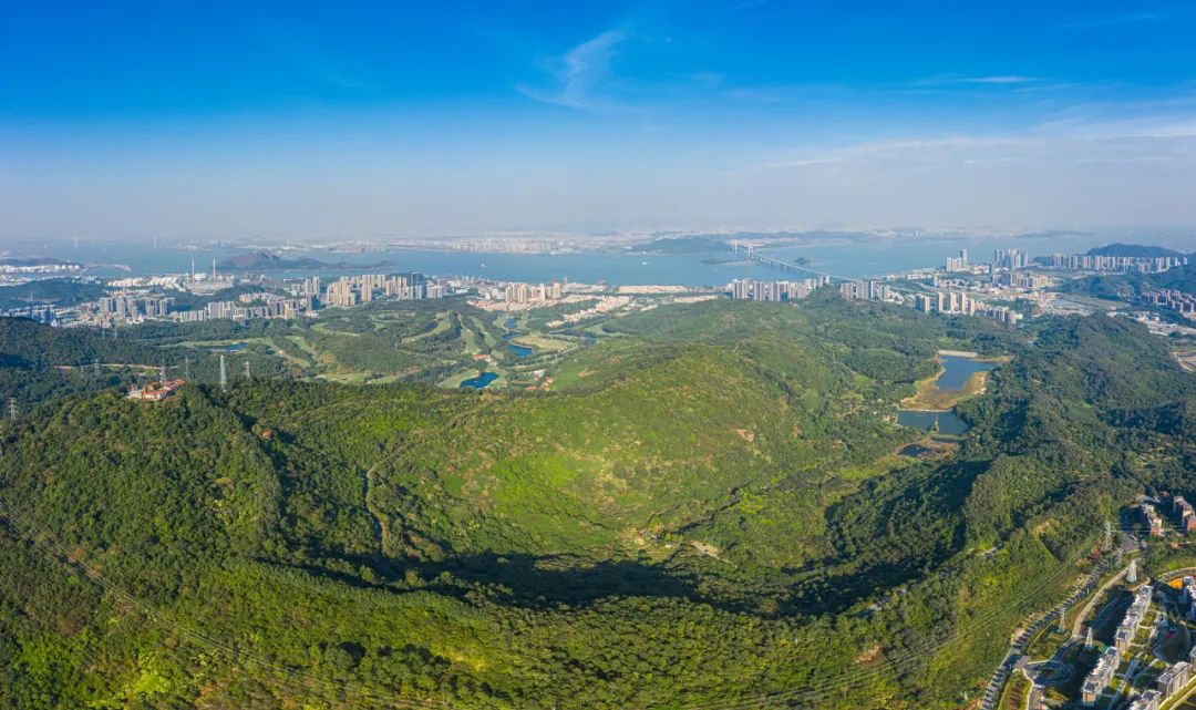 广州好“行”|森林步道:一场徒步广州的流动式漫游体验 广州好“行”|森林步道:一场徒步广州的流动式漫游体验