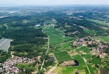 《新华日报》:坚持党建引领,激发耕地保护动能-规划问道