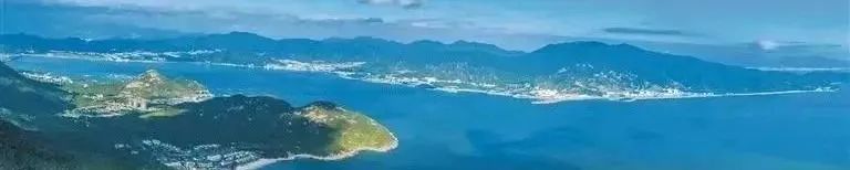 地方动态 | 深圳目标：规划建设国际一流滨海湿地城市！