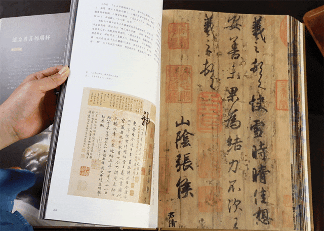 全网爆火，横跨万年，这个地方值得带孩子打卡100次！