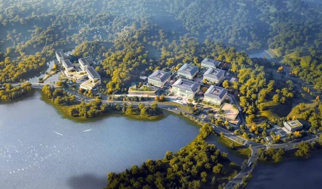 滨江区白马湖实验室亮相央视，展现改革新气象！