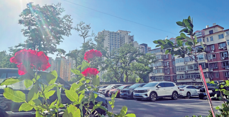 地方动态 | 北京市：结合老旧小区综合整治，高质量推进完整社区建设试点工作