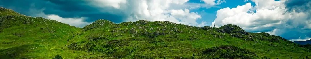 全国生态日 | 读懂“五大关系”,用好生态保护修复“方法论”——写在 2024年全国生态日之际 全国生态日 | 读懂“五大关系”,用好生态保护修复“方法论”——写在 2024年全国生态日之际