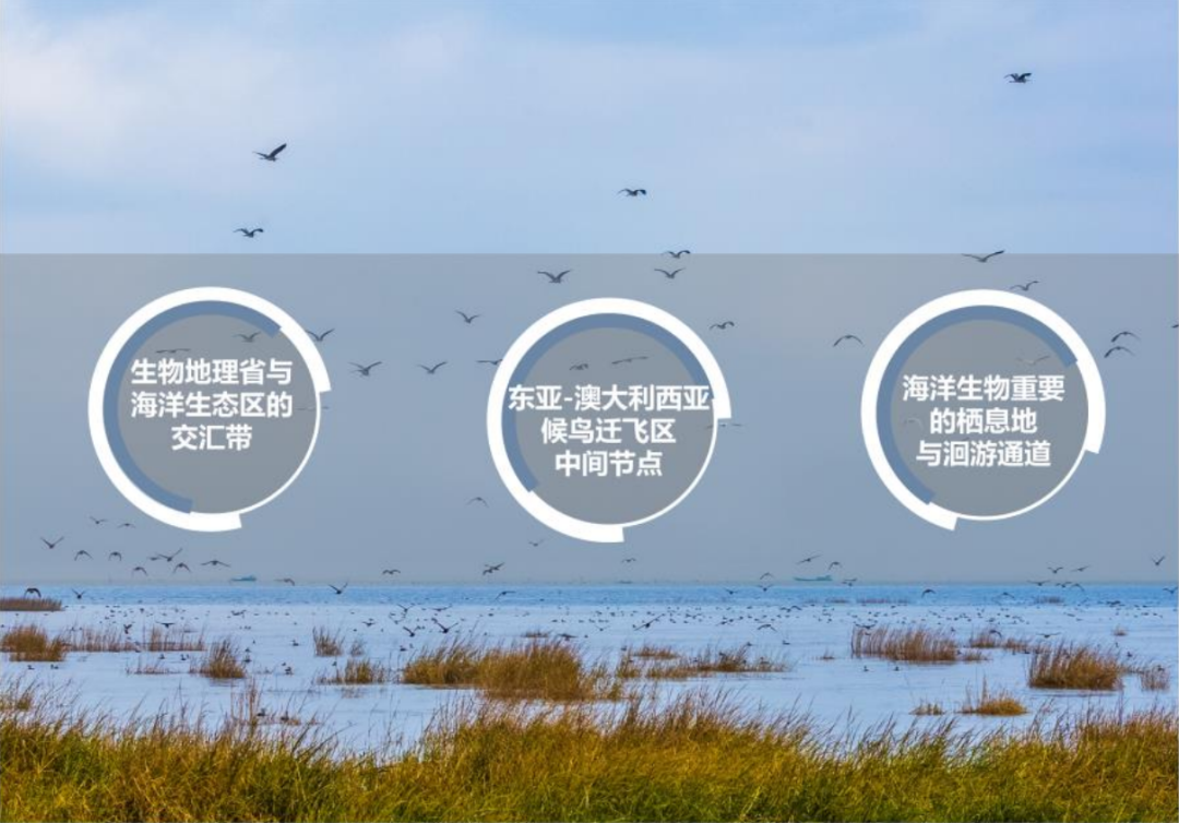 风景园林和旅游规划类 | 闽江河口湿地保护与发展规划 风景园林和旅游规划类 | 闽江河口湿地保护与发展规划
