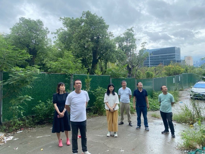 迎战“贝碧嘉”｜市规划资源局滨江分局全力以赴 打响防汛防台“主动仗”