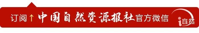 “永农”被占后应如何补划？何为占用耕地补偿制度？｜ 土地管理法律法规知识解读③