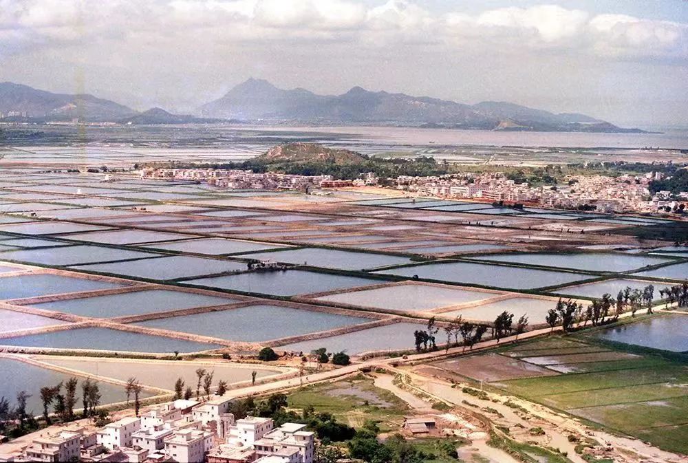 刘珩:城市的“围困与解困” 刘珩:城市的“围困与解困”