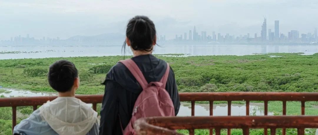 深中大桥改变了什么？