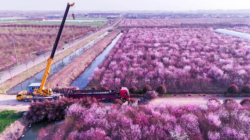 “县飘”:为什么我们终究还是离开了一线城市? “县飘”:为什么我们终究还是离开了一线城市?