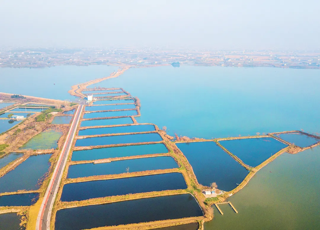湖北长江三峡地区山水林田湖草生态保护修复工程——枝江市金湖湿地生态修复项目
