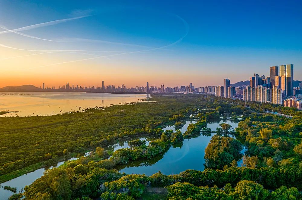 粤港澳大湾区:下一站,服务型海洋城市 粤港澳大湾区:下一站,服务型海洋城市